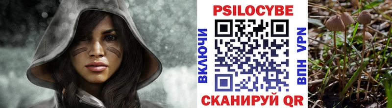 Галлюциногенные грибы Psilocybine cubensis  Купить закладки  Вятские Поляны 