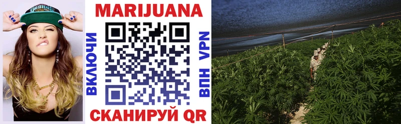 Купить где  Вятские Поляны  Бошки Шишки LSD WEED 
